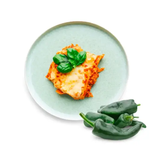 [00890] Lasagne de poulet avec chili poblano 450g