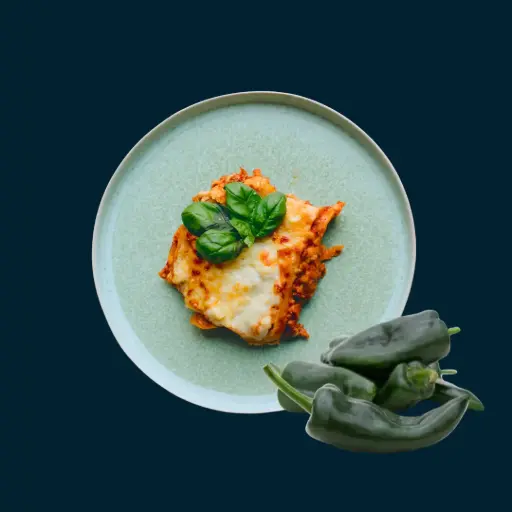 [00901] Lasagne de poulet avec chili poblano 2kg